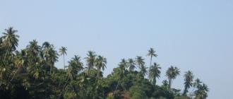 Поездка из Паттайи на остров Ко Куд (Koh Kood) — как добраться до острова из Паттайи Паром с чанга на ко куд
