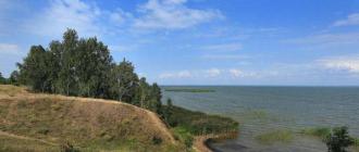 ﻿﻿ озеро Салтаим, Крутинский район, Омская область, Россия